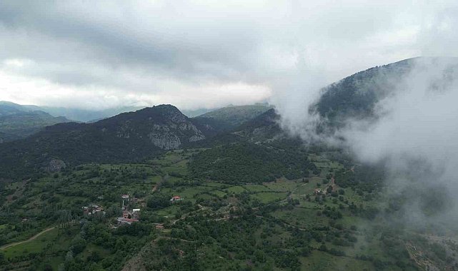 Amasya'da ormanlık alanlara girişler yasaklandı