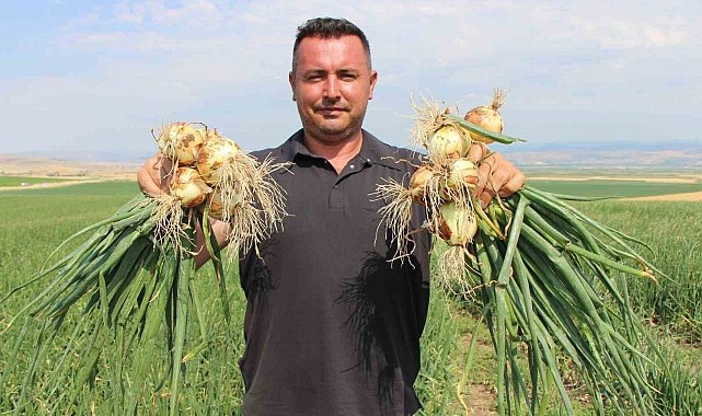 Amasya'da soğan bir bardak çaydan bile ucuz