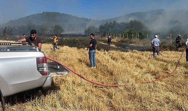Anız yangını ormanlık alana sıçramadan söndürüldü