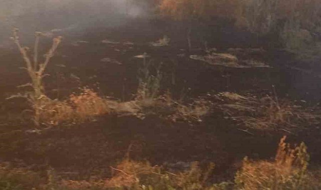 Anız yangını tarım arazileri ve ormanlık alana sıçramadan söndürüldü