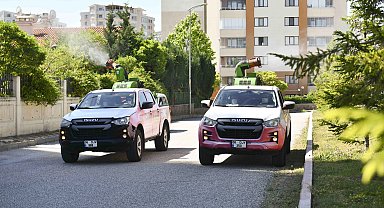 Ankara'da yaz boyu ilaçlama çalışmaları sürüyor