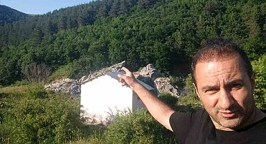 Anne ayı ve 3 yavrusu arazide görüntülendi