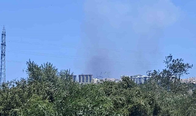 Antalya'da ormanlık alanda yangın