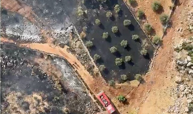 Antalya'da ormanlık alanı tehdit eden yangın