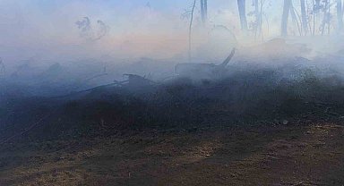 Araç yangını ormanlık alana sıçradı, ekipler alevleri büyümeden söndürdü