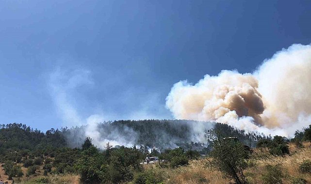 Balıkesir Kepsut'ta orman yangını