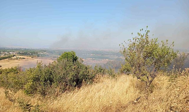Balıkesir'de arazi yangınına Orman ve itfaiye ekipleri müdahale etti