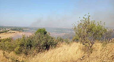 Balıkesir'de arazi yangınına Orman ve itfaiye ekipleri müdahale etti