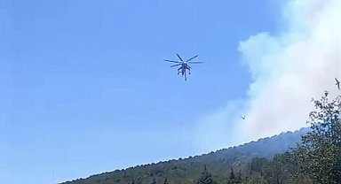 Balıkesir'de bir orman yangını daha