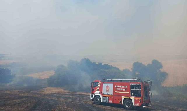 Bandırma'da 4 ayrı noktada başlayan arazi yangını söndürüldü