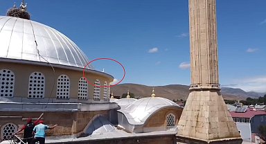 Bayburt'ta yuvasına dönemeyen yavru leylek ekipleri harekete geçirdi