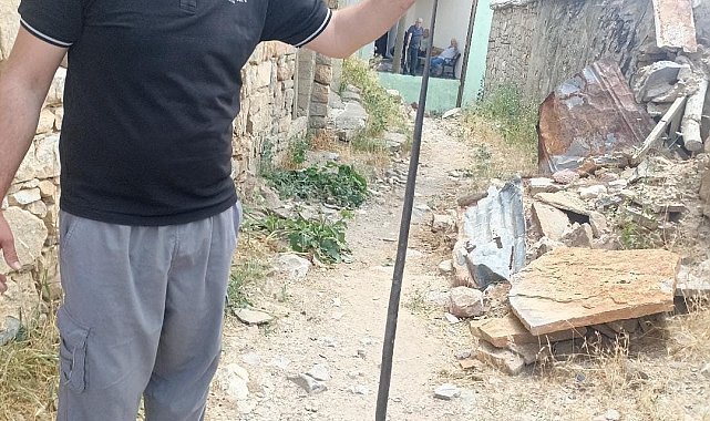 Baykan'da yılan paniği