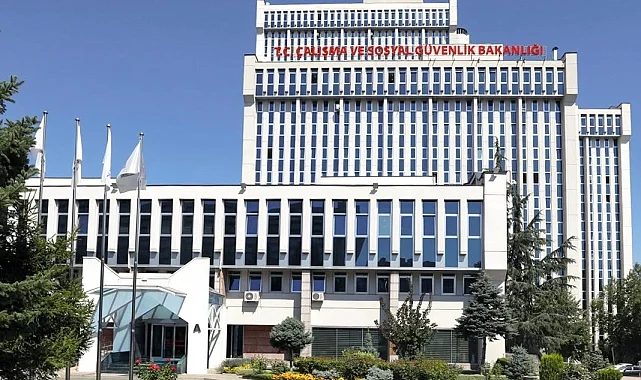 Bazı kamu kurumlarının hizmet kolları yeniden belirlendi