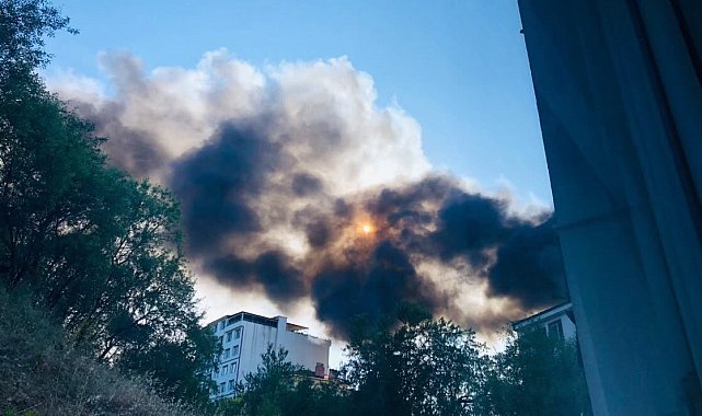 Bilecik'te ot yangını depoya sıçradı, faciadan dönüldü