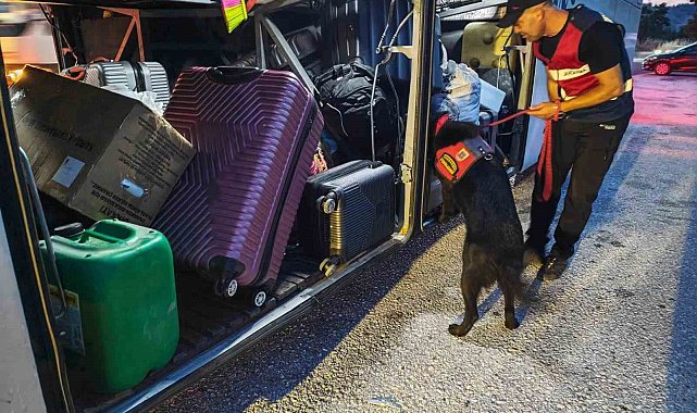 Bilecik'te trafik ihlallerine 32 bin liralık ceza