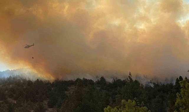 Bilecik'teki orman yangını 3 saatin ardından kontrol altına alındı