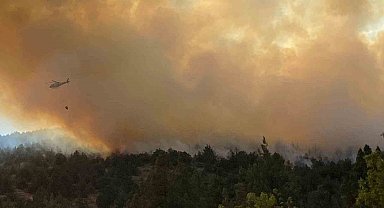 Bilecik'teki orman yangını 3 saatin ardından kontrol altına alındı