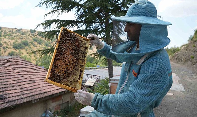 Bin 200 çeşit endemik bitki türüyle 4 kuşaktır süren gelenek: Kanyon balında 4 tonluk rekolte