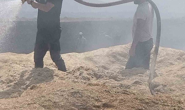 Bingöl'de arazi yangını: 2 bin dönüm arazi zarar gördü
