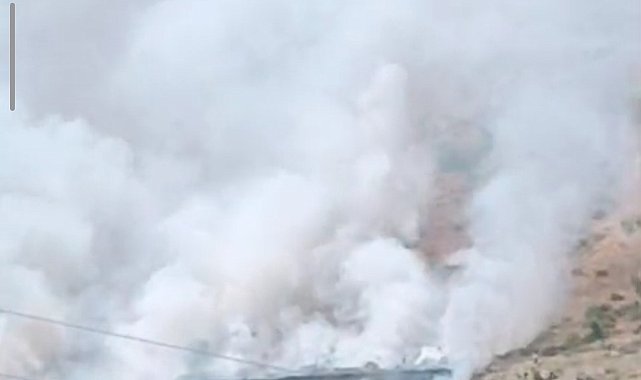 Bitlis'te dağlık alanda yangın: Binlerce arı telef oldu
