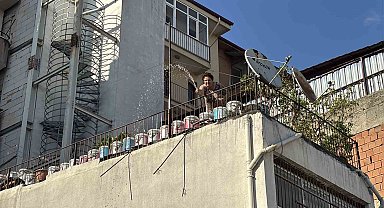 Bolu'da korkutan ot yangını: İtfaiyeyi beklemeden kova ve hortumlarla söndürdüler