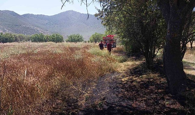 Burdur'da tarlada yangın