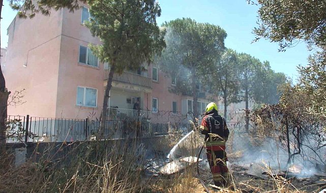 Burhaniye'de zeytinliğe sıçrayan ot yangını polis merkezinde korkuya neden oldu