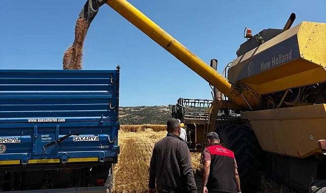 Bursa'da hububat hasadında sıkı denetim... Dane kaybına geçit yok