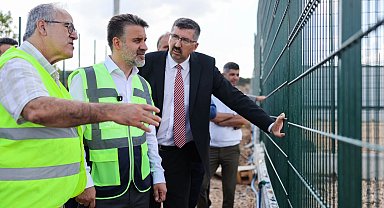Bursa'da sokak hayvanları için doğal yaşam alanı
