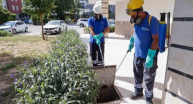 Büyükşehir vektörle mücadelede eğitim ve saha çalışmalarını sürdürüyor