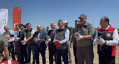 Çamlık Milli Parkı'nda bin keklik doğaya kanat çırptı