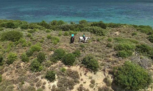 Çanakkale'de orman yangınlarına karşı ekipleri sahada