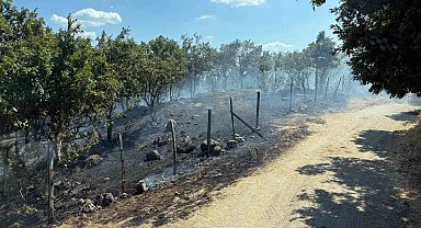 Çanakkale'de tarım arazisinde çıkan yangın kontrol altına alındı