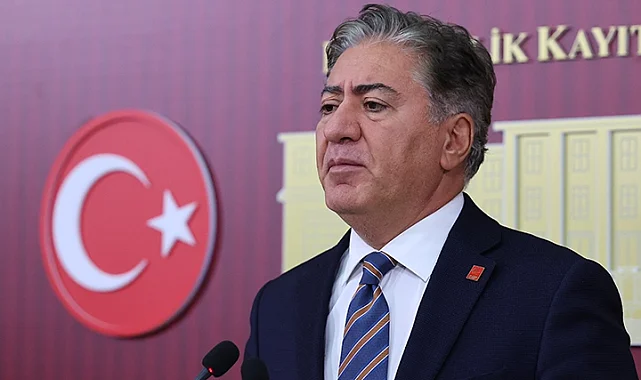 CHP'li Murat Emir: Terörün kalıcı olarak bitmesini sağlayacak her süreç vicdana uygun olmalı