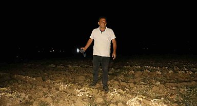 Çiftçilerin "beyaz altın" nöbeti: Bir yıllık emekleri için sabaha kadar tarlada bekliyorlar