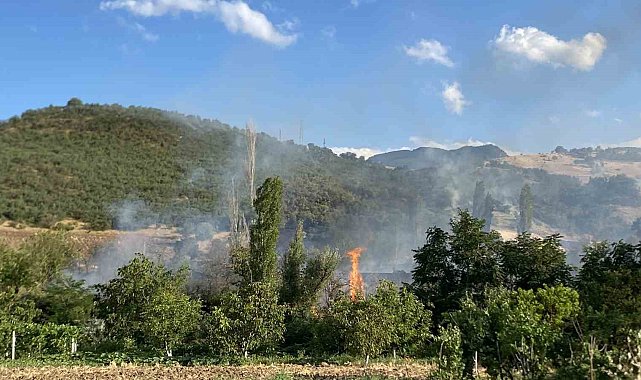 Çorum'daki orman yangını kontrol altına alındı