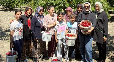 DAĞDER'den Bursalı kiraz üreticilerine destek