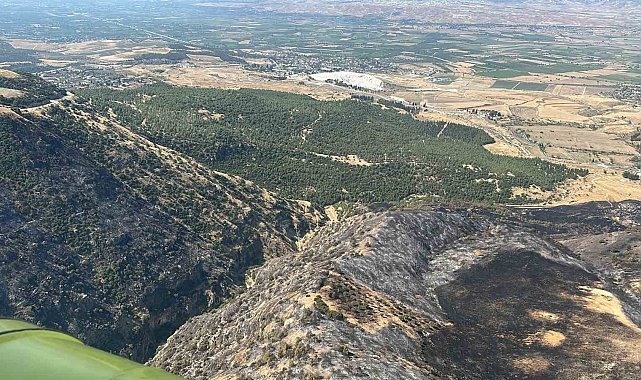 Denizli'de korkutan yangın kontrol altına alındı