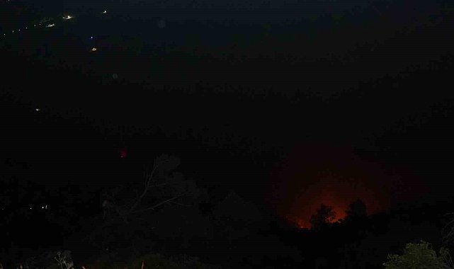 Denizli'deki orman yangını gece saatlerinde rüzgarın etkisiyle tekrardan etkili oldu