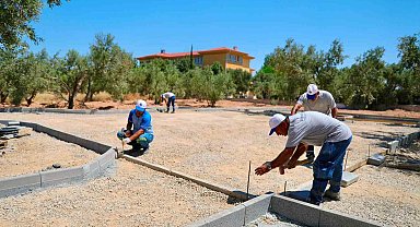 Didim'de Zeytin Park Projesi hayata geçirilecek