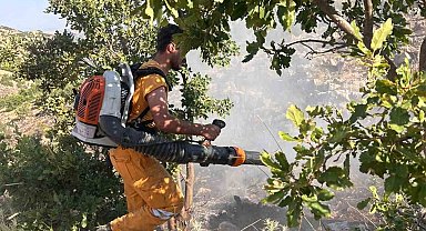 Diyarbakır'da 15 dönüme yakın ormanlık alan yandı