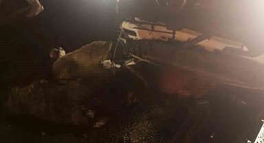 Diyarbakır'da aracın daldığı sürüdeki 15 koyun telef oldu