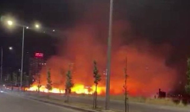 Diyarbakır'da geceyi gündüze çeviren yangın
