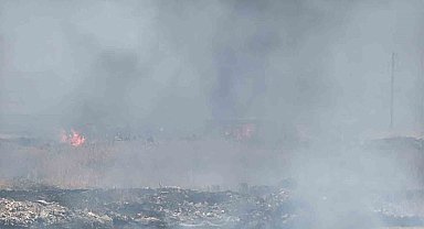 Diyarbakır'da otluk alanda korkutan yangın