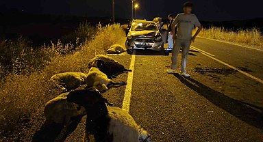Diyarbakır'da otomobil sürüye çarptı: 10 koyun telef oldu