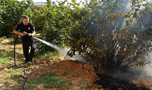 Düzce İtfaiyesi 3 ayda 300 anız yangınına müdahale etti