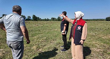 Düzce'de 400 mera ıslah çalışması tamamlandı
