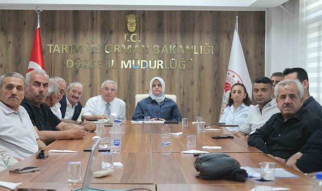 Düzce'de fındık rekolte tahmin çalışmaları değerlendirildi