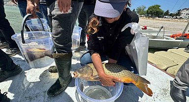 Eğirdir Gölü'ne 100 bin pullu sazan yavrusu bırakıldı