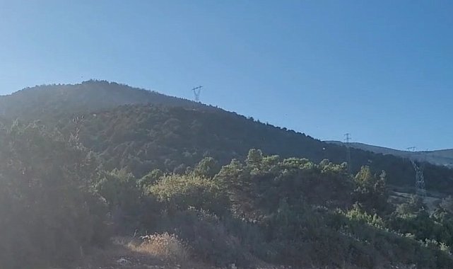 Eğirdir'deki orman yangını kontrol altına alındı: 10 hektar alan zarar gördü